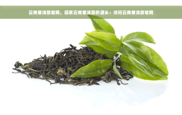 云南普洱茶官网，探索云南普洱茶的源头：访问云南普洱茶官网