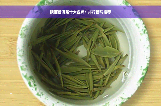 陕西普洱茶十大名牌：排行榜与推荐