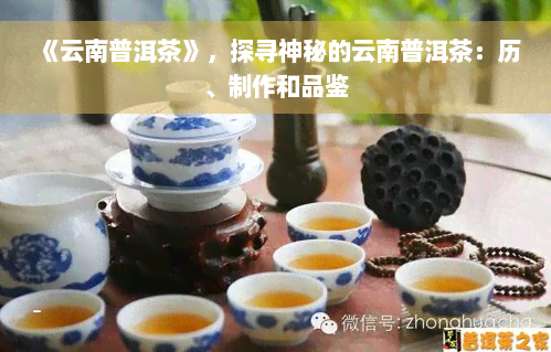 《云南普洱茶》，探寻神秘的云南普洱茶：历、制作和品鉴