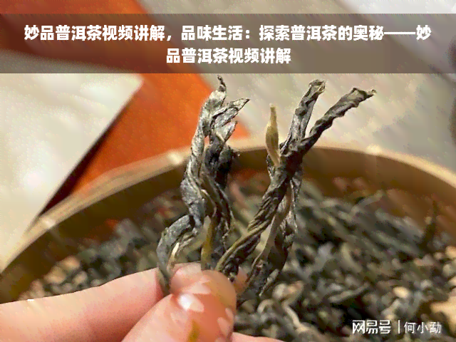 妙品普洱茶视频讲解，品味生活：探索普洱茶的奥秘——妙品普洱茶视频讲解