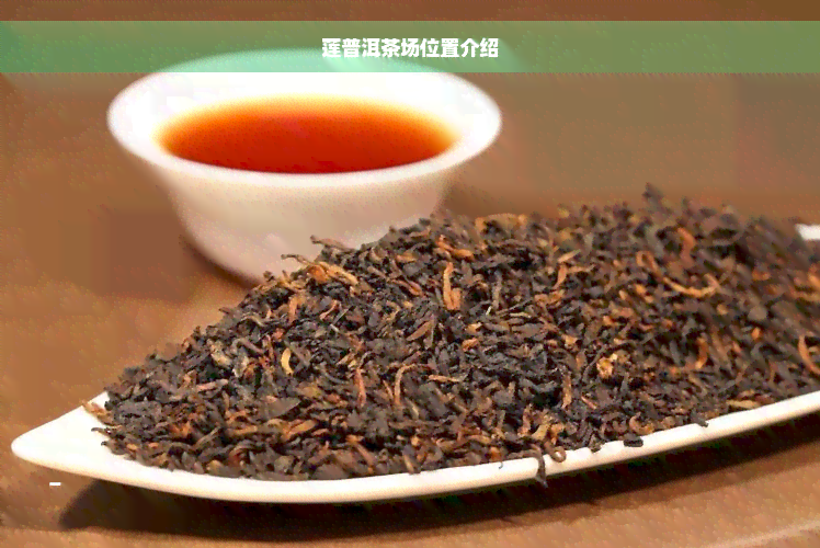 莲普洱茶场位置介绍