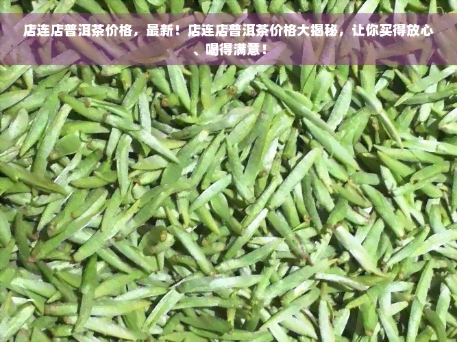 店连店普洱茶价格，最新！店连店普洱茶价格大揭秘，让你买得放心、喝得满意！