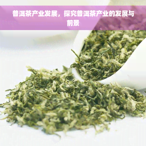 普洱茶产业发展，探究普洱茶产业的发展与前景