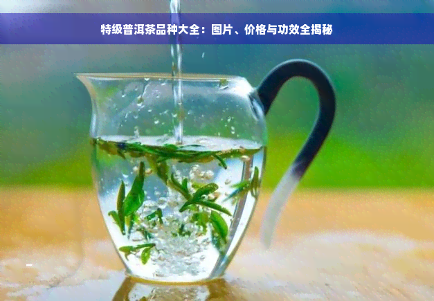 特级普洱茶品种大全：图片、价格与功效全揭秘