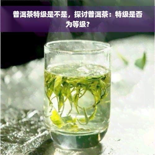 普洱茶特级是不是，探讨普洱茶：特级是否为等级？