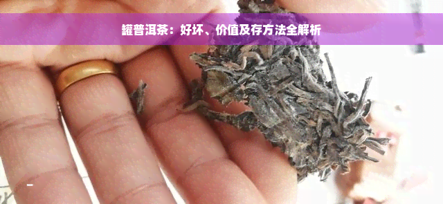 罐普洱茶：好坏、价值及存方法全解析