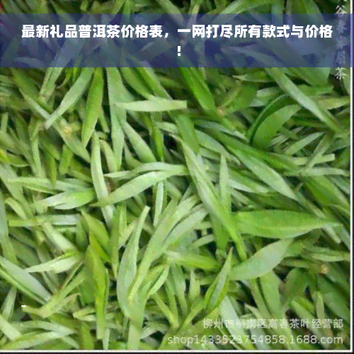 最新礼品普洱茶价格表，一网打尽所有款式与价格！