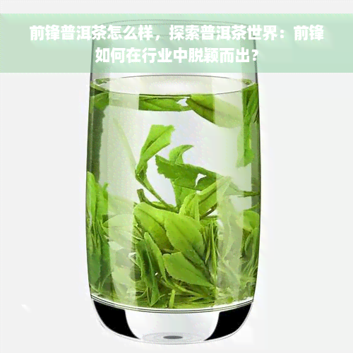 前锋普洱茶怎么样，探索普洱茶世界：前锋如何在行业中脱颖而出？