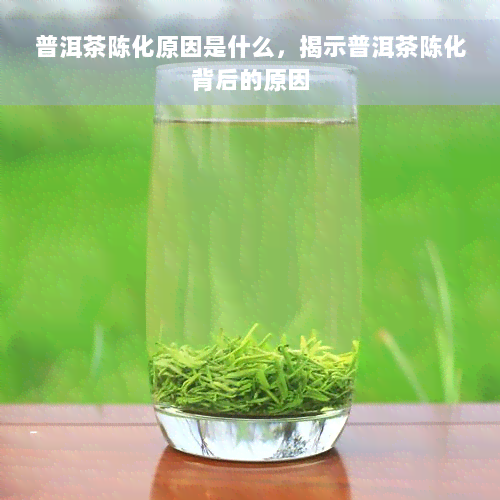 普洱茶陈化原因是什么，揭示普洱茶陈化背后的原因