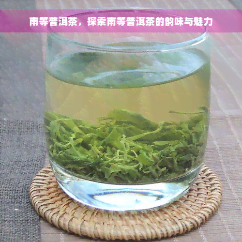 南等普洱茶，探索南等普洱茶的韵味与魅力