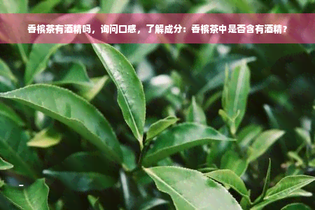 香槟茶有酒精吗，询问口感，了解成分：香槟茶中是否含有酒精？