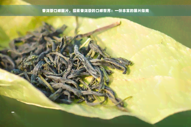 普洱茶口感图片，探索普洱茶的口感世界：一份丰富的图片指南