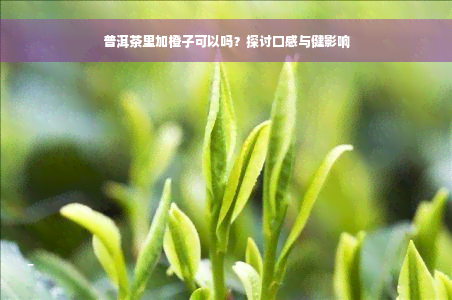 普洱茶里加橙子可以吗？探讨口感与健影响