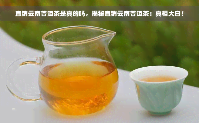 直销云南普洱茶是真的吗，揭秘直销云南普洱茶：真相大白！