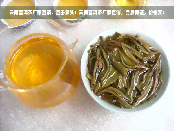 云南普洱茶厂家直销，直击源头！云南普洱茶厂家直销，品质保证，价格实！