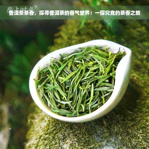 普洱茶茶香，探寻普洱茶的香气世界：一探究竟的茶香之旅