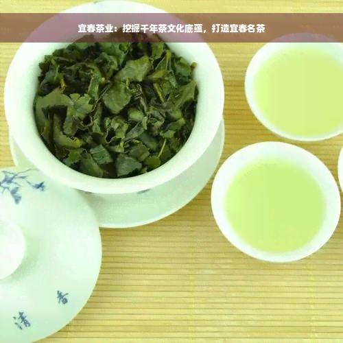 宜春茶业：挖掘千年茶文化底蕴，打造宜春名茶