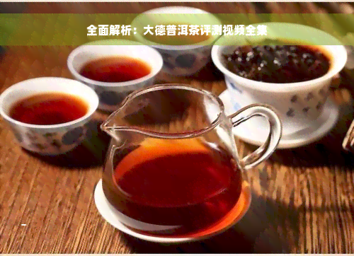 全面解析：大德普洱茶评测视频全集