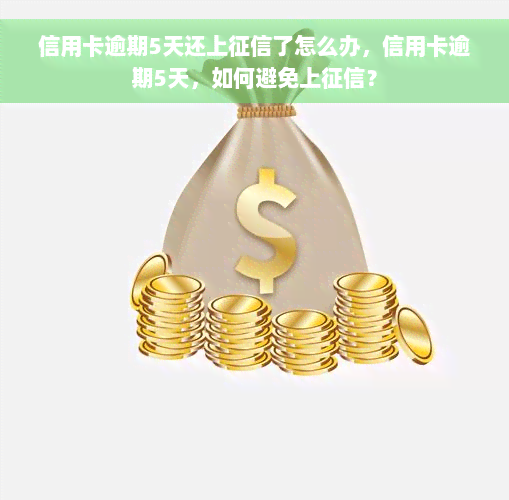 信用卡逾期5天还上征信了怎么办，信用卡逾期5天，如何避免上征信？