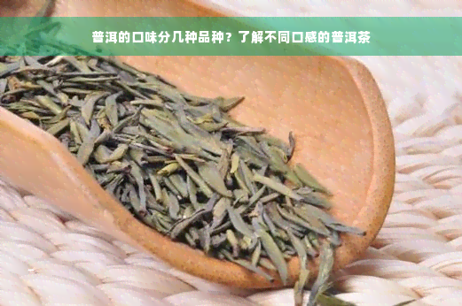 普洱的口味分几种品种？了解不同口感的普洱茶