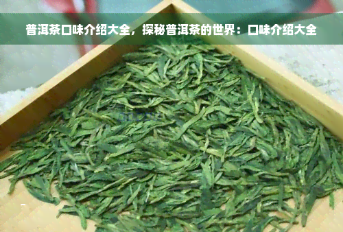 普洱茶口味介绍大全，探秘普洱茶的世界：口味介绍大全