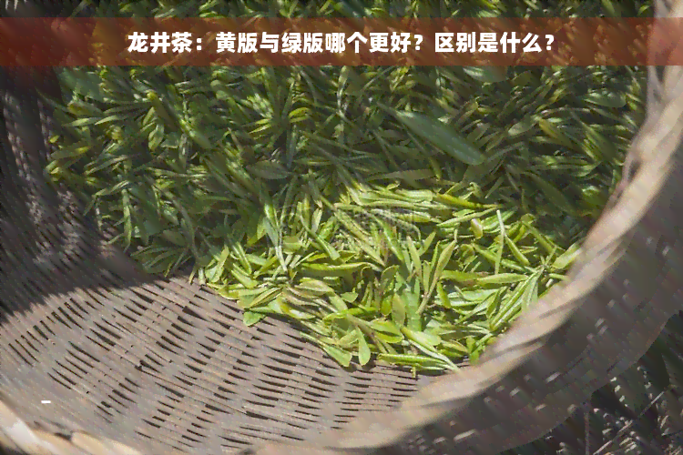 龙井茶：黄版与绿版哪个更好？区别是什么？