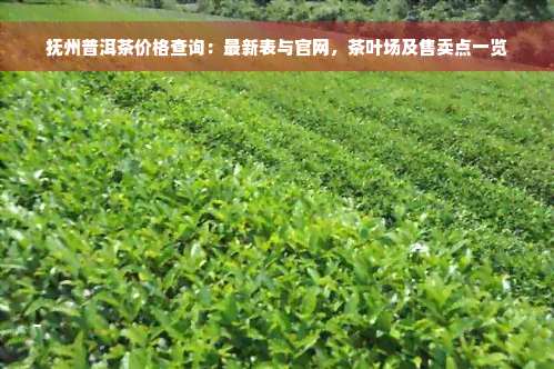 抚州普洱茶价格查询：最新表与官网，茶叶场及售卖点一览