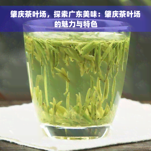 肇庆茶叶场，探索广东美味：肇庆茶叶场的魅力与特色