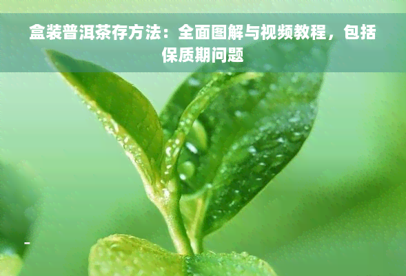 盒装普洱茶存方法：全面图解与视频教程，包括保质期问题