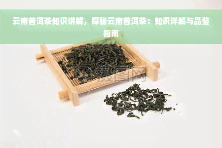 云南普洱茶知识讲解，探秘云南普洱茶：知识详解与品鉴指南