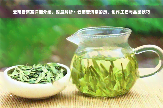 云南普洱茶详细介绍，深度解析：云南普洱茶的历、制作工艺与品鉴技巧