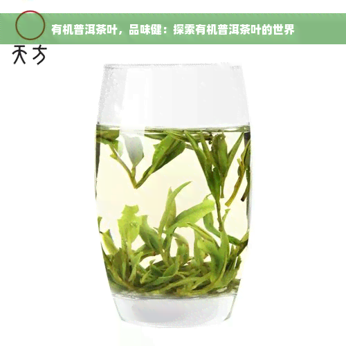 有机普洱茶叶，品味健：探索有机普洱茶叶的世界