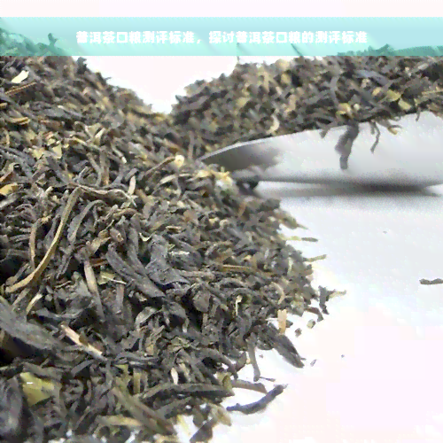 普洱茶口粮测评标准，探讨普洱茶口粮的测评标准