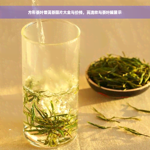 方形茶叶普洱茶图片大全与价格，高清欣与茶叶罐展示