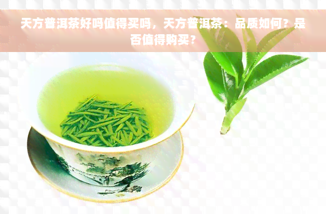 天方普洱茶好吗值得买吗，天方普洱茶：品质如何？是否值得购买？