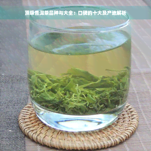 顶级普洱茶品种与大全：口碑的十大及产地解析