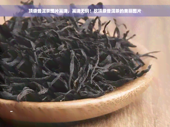 顶级普洱茶图片高清，高清 *** ！欣顶级普洱茶的美丽图片