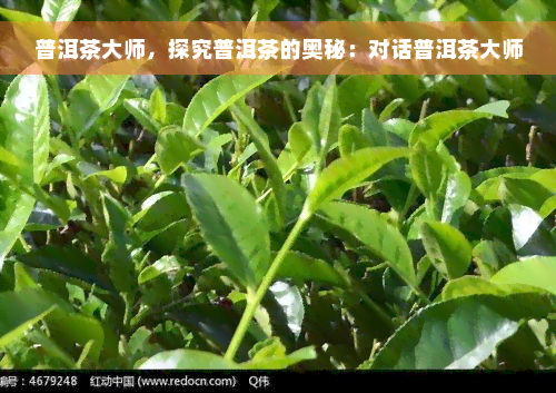 普洱茶大师，探究普洱茶的奥秘：对话普洱茶大师