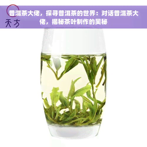 普洱茶大佬，探寻普洱茶的世界：对话普洱茶大佬，揭秘茶叶制作的奥秘