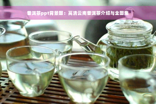 普洱茶ppt背景图：高清云南普洱茶介绍与全图集