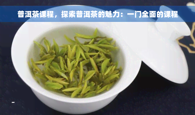 普洱茶课程，探索普洱茶的魅力：一门全面的课程