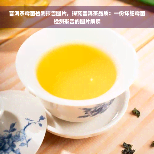 普洱茶霉菌检测报告图片，探究普洱茶品质：一份详细霉菌检测报告的图片解读