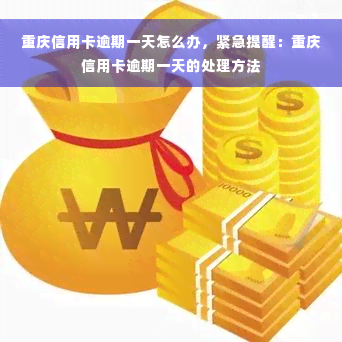 重庆信用卡逾期一天怎么办，紧急提醒：重庆信用卡逾期一天的处理方法