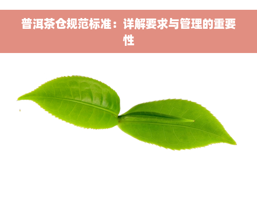 普洱茶仓规范标准：详解要求与管理的重要性