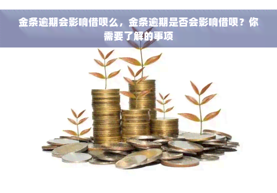 金条逾期会影响借呗么，金条逾期是否会影响借呗？你需要了解的事项