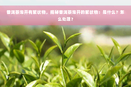 普洱茶泡开有絮状物，揭秘普洱茶泡开的絮状物：是什么？怎么处理？