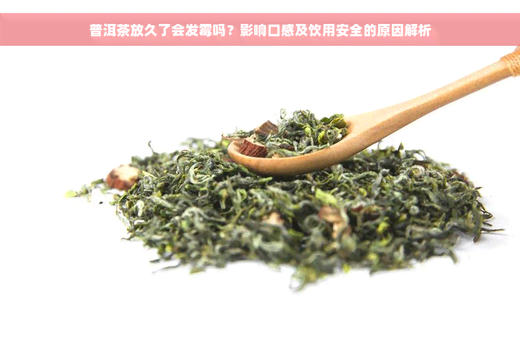 普洱茶放久了会发霉吗？影响口感及饮用安全的原因解析