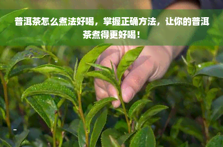 普洱茶怎么煮法好喝，掌握正确方法，让你的普洱茶煮得更好喝！