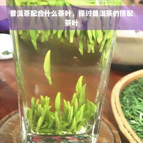 普洱茶配合什么茶叶，探讨普洱茶的搭配茶叶