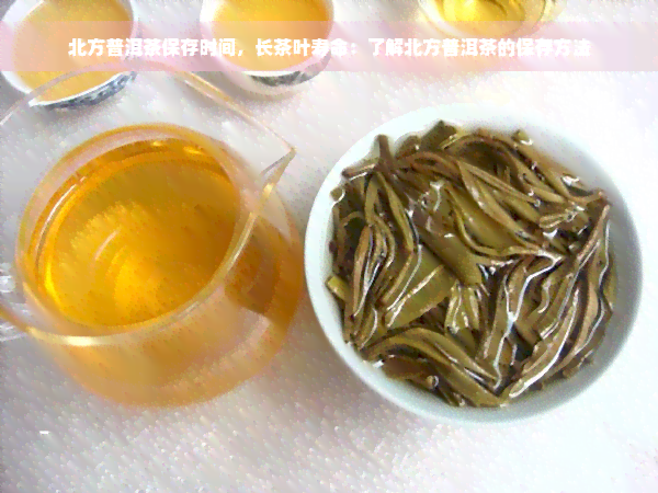 北方普洱茶保存时间，长茶叶寿命：了解北方普洱茶的保存方法